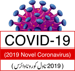 Home - COVID19CoronaVirus - City High School